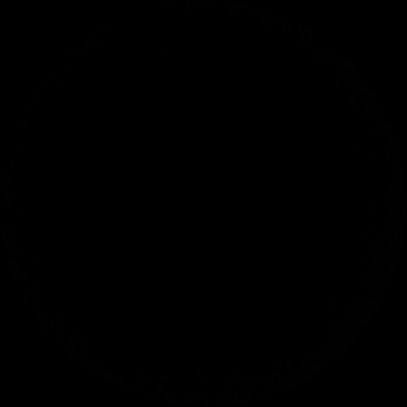 minavarro7